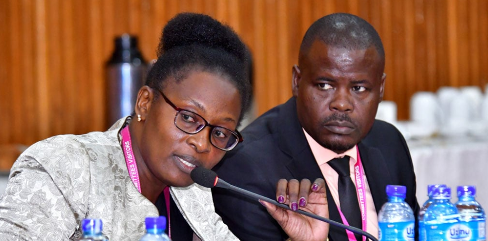 MPs PROBE GHOST FUEL CARDS AT TRADE MINISTRY